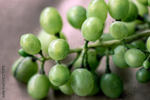 green grapes on a branch © Mats