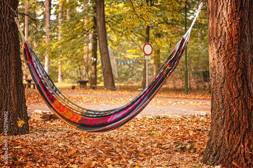 Hammock in the autumnal garden