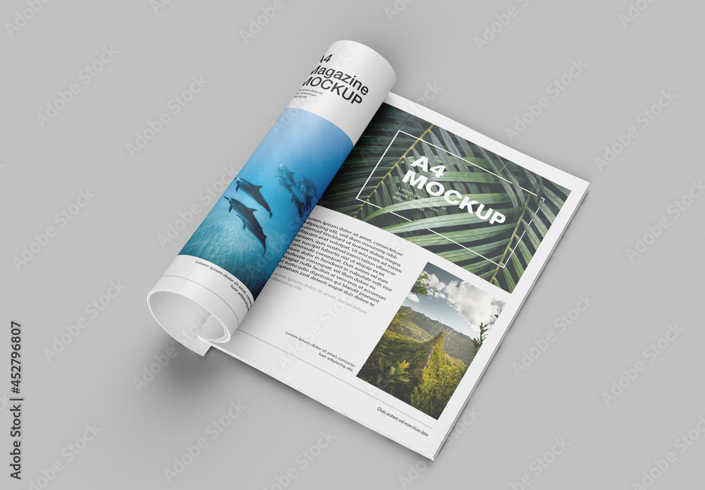 Matte Magazine Mockup Stock Template Adobe Stock
