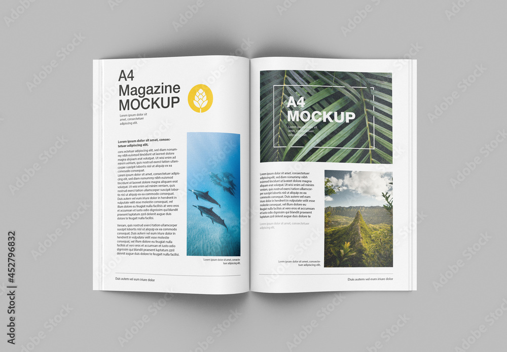 Top View Matte Magazine Mockup Stock Template | Adobe Stock