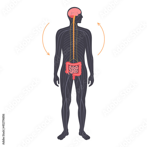 Gut brain connection
