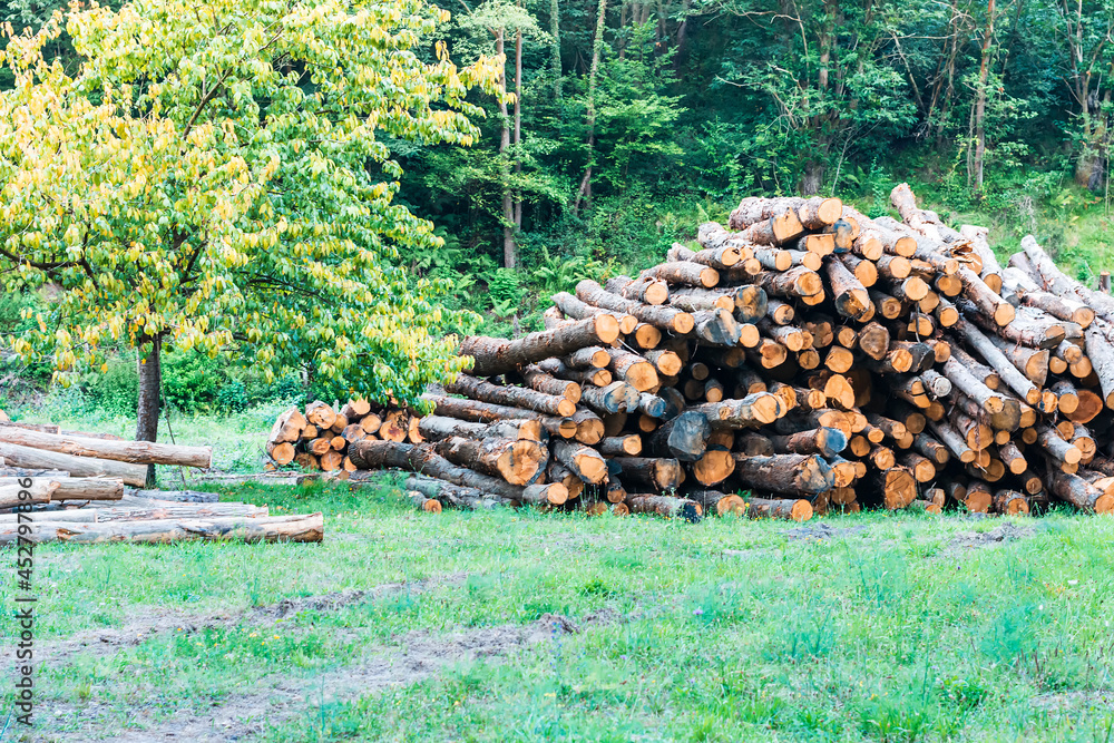 Landscape in Asturias of a working area where trees are cut and felled.In the photo you can see a tree and logs cut and stacked.The photograph is taken in horizontal format. Landscape in Asturias of a working area where trees are cut and felled.In the photo you can see a tree and logs cut and stacked.The photograph is taken in horizontal format.