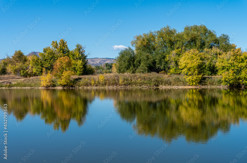 Colorful Fall Trees Along Pond With Trees Reflections in Calm Water