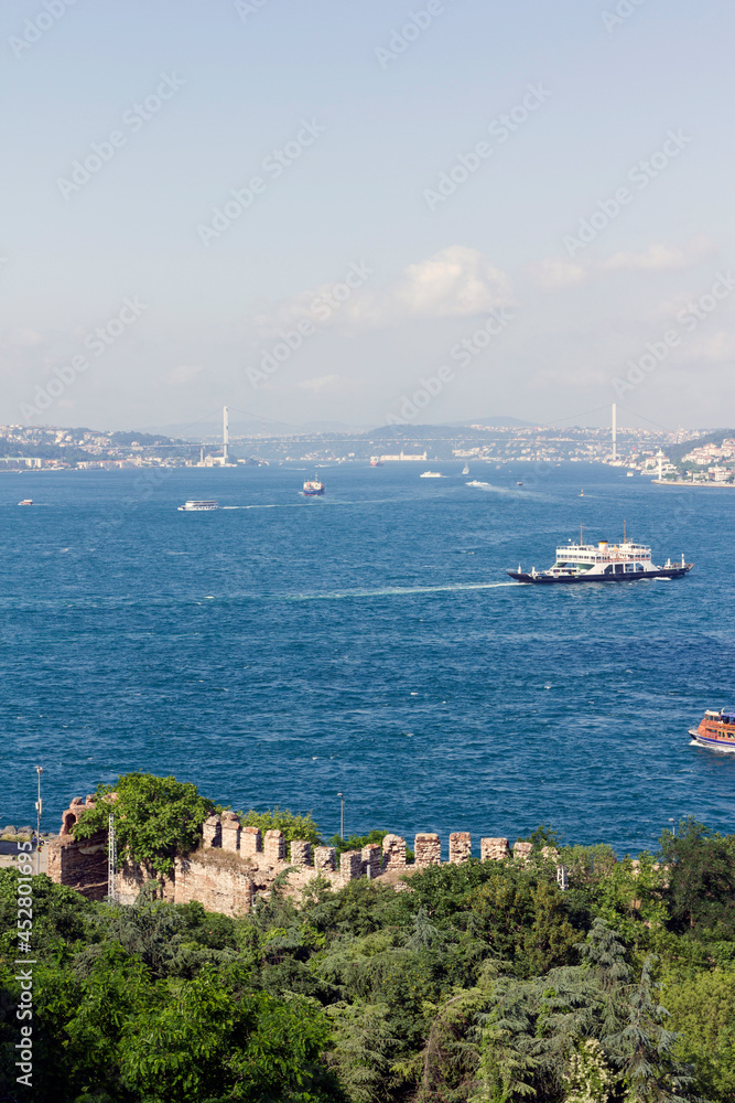 View of the city Istanbul with the Bosphorus Bridge in the background