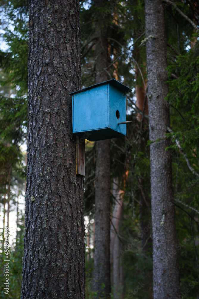 Bird house hanging om the tree in the park