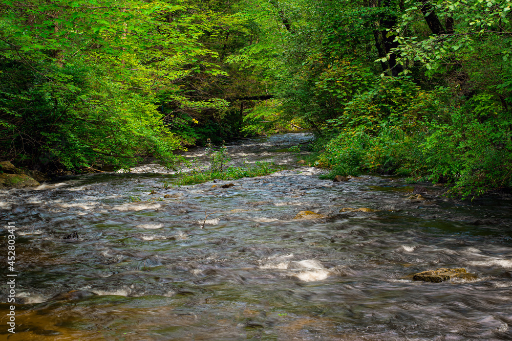 rain swollen brook after tropical storm henri rain swollen brook after tropical storm henri