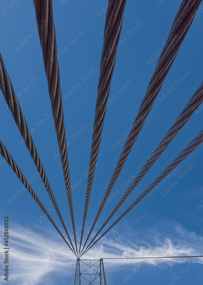 Fototapeta premium Cable Bridge