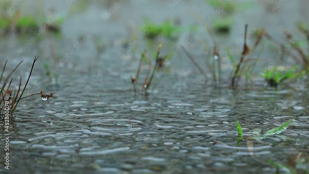 水たまりに降る雨 水面の波紋 スローモーション 水たまりに降る雨 水面の波紋 スローモーション