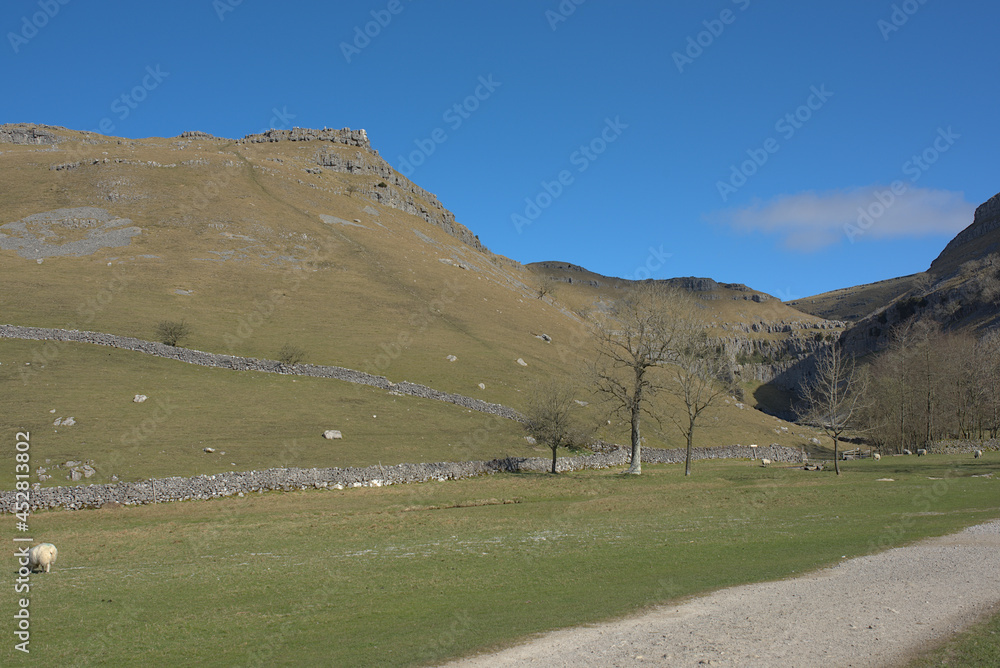 landscape in the mountains
