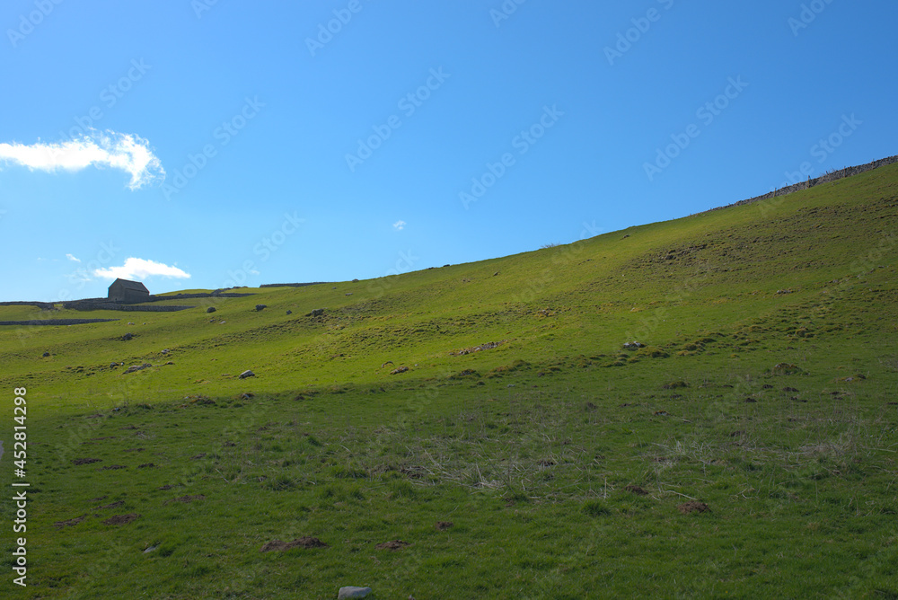 green hill landscape