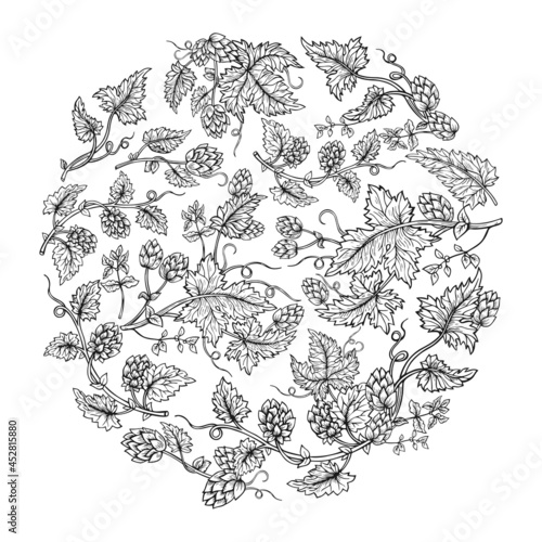 Hop plant branch round wreath composition sketch style. Hand drawn hops with leaves and cones angular herb design drawn engraving. Decorative sketches for beer packing design, label editable vector