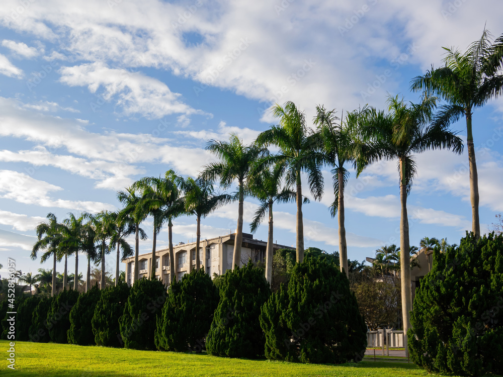 Afternoon view of the main campus of National Taiwan University Afternoon view of the main campus of National Taiwan University