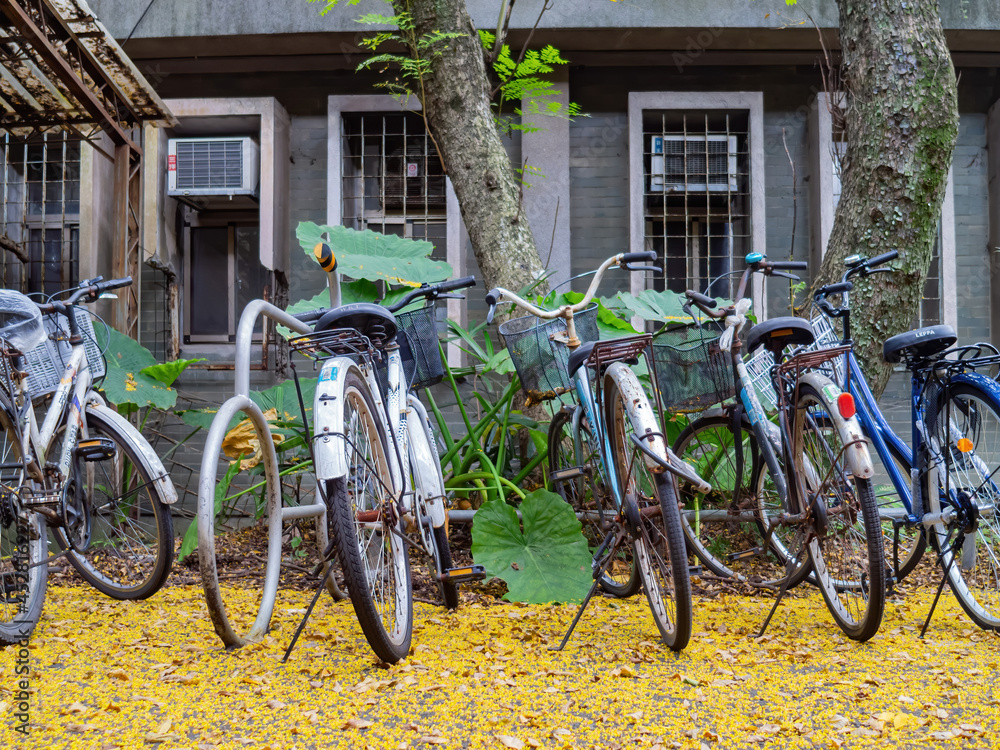 Close up shot of many bicycle in campus of National Taiwan University