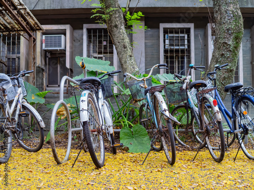 Close up shot of many bicycle in campus of National Taiwan University