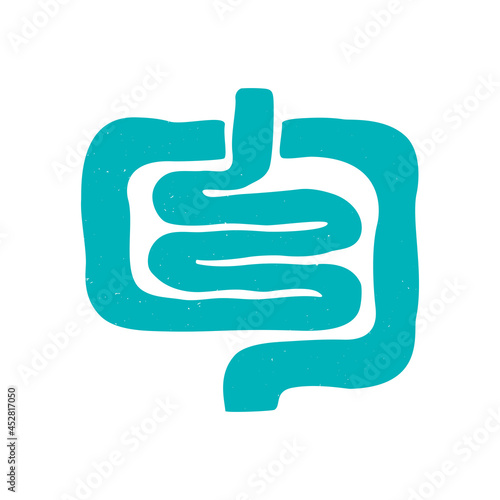 Human intestine icon. Two-color gut symbol isolated on a white background. Vector flat hand drawn illustration photo