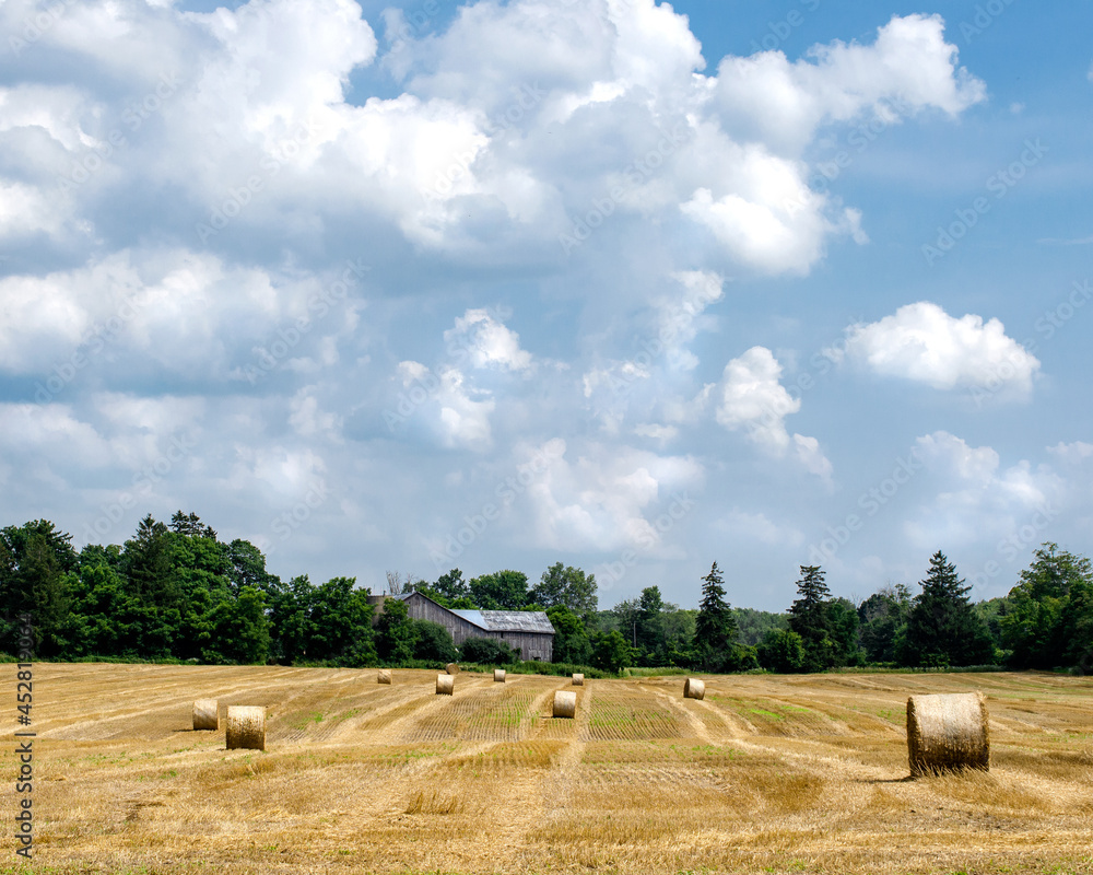 hay bales in the field with barn, barn in a field, farming