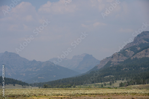 Wildfire smoke in the public landscape of Yellowstone National Park, USA
