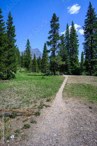 Trail to scenic location and picnic table on Soda Butte Creek, Yellowstone National Park, USA  © knelson20