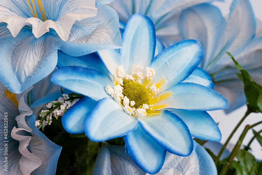 Obraz premium cute blue flower