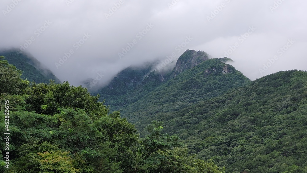 The scenery of Sinbulsan Mountain covered with mist in Korea