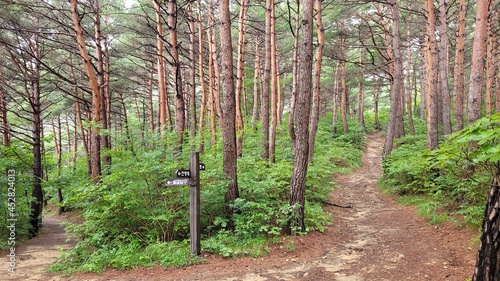 The Chilbosan Forest Trail in Gyeongsangbuk-do, South Korea