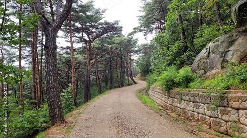 The Chilbosan Natural Recreational Forest Hiking Course in Gyeongbuk  Korea