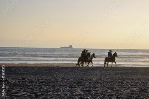 horses on the beach