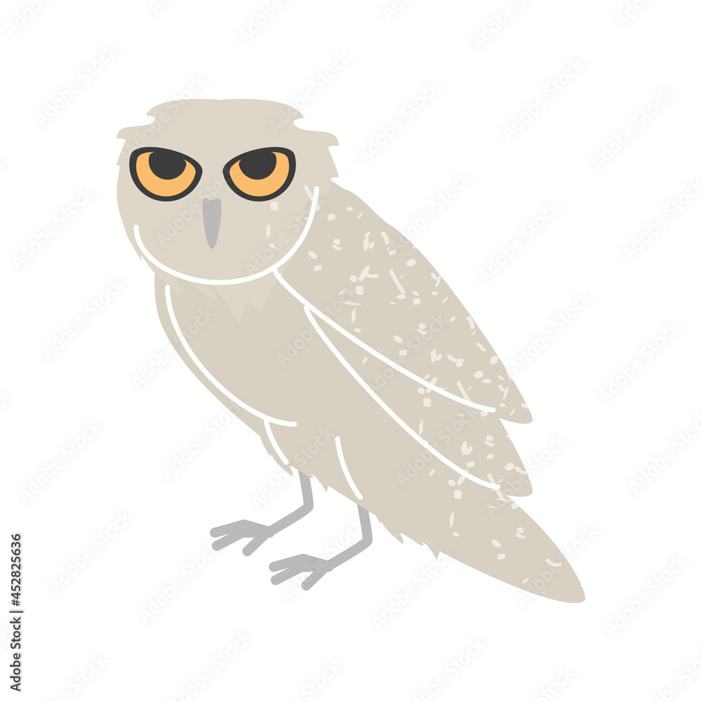 Fototapeta premium barn owl icon
