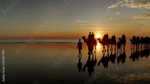 camels approaching at sunset on cable beach in broome in western australia photo