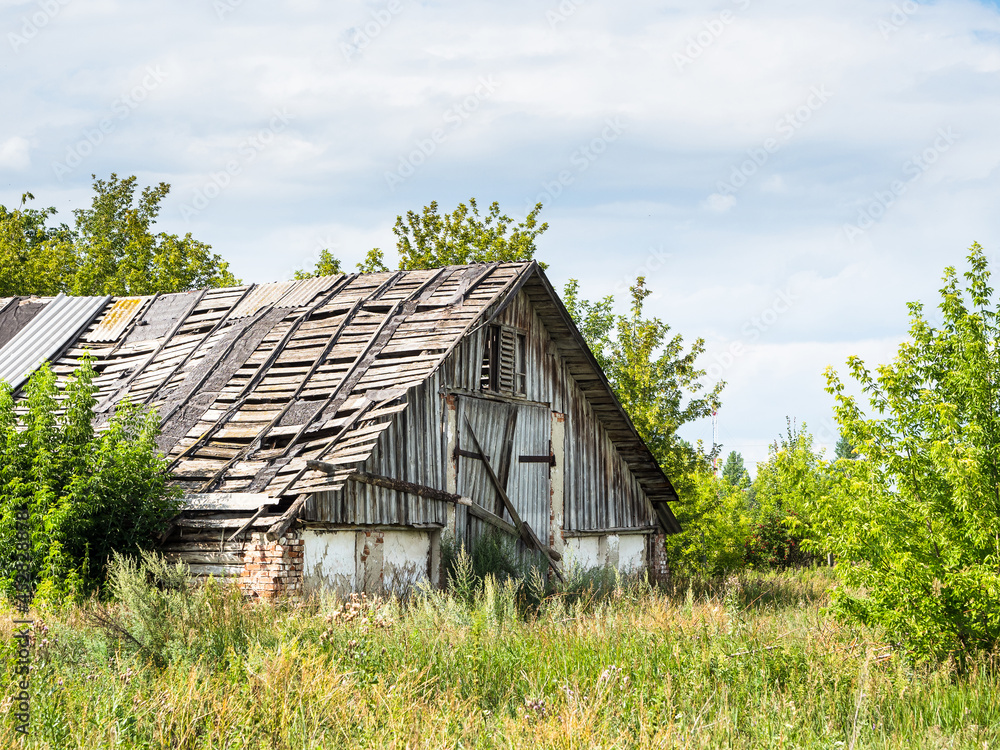 An abandoned overgrown building with a leaky roof. An old building among trees and grass. Devastation An abandoned overgrown building with a leaky roof. An old building among trees and grass. Devastation