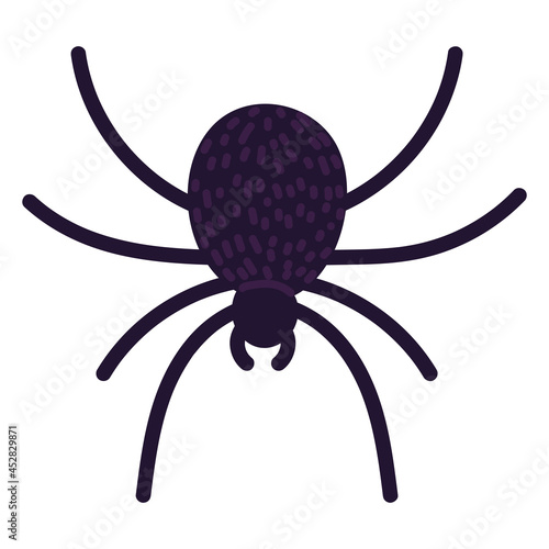 black scary spider