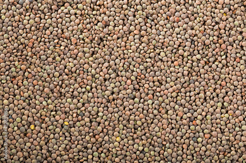 Closeup of raw lentil grains as background. Healthy eating..