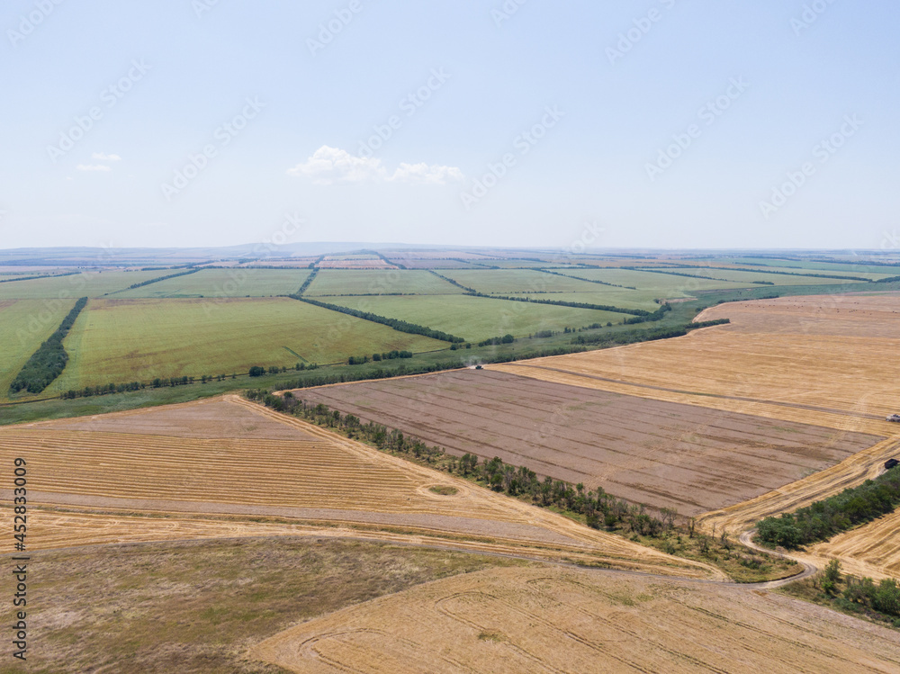 agricultural fields from a bird's eye view, harvesting wheat with harvesters