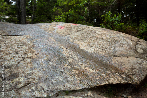 Glacial grooves on Mt. Kearsarge in Wilmot, New Hampshire. photo