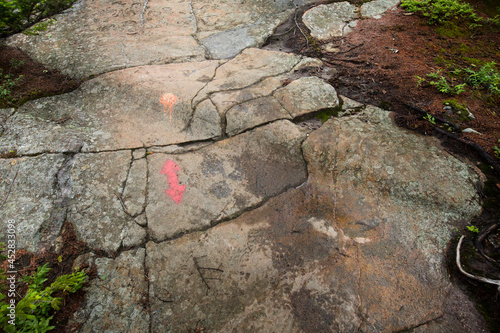 Glacial grooves on Mt. Kearsarge in Wilmot, New Hampshire. photo