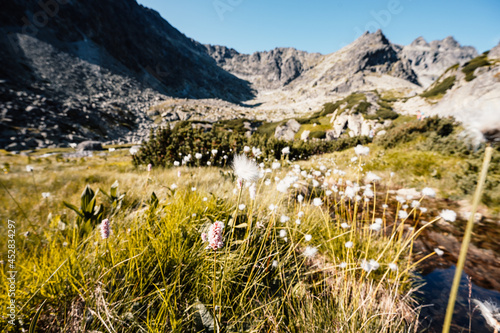 Hiking the Great Cold Valley/ velka studena dolina/ to Zbojnicka cottage and teryho cottage through priecne saddle. High Tatras National park , Slovakia. photo