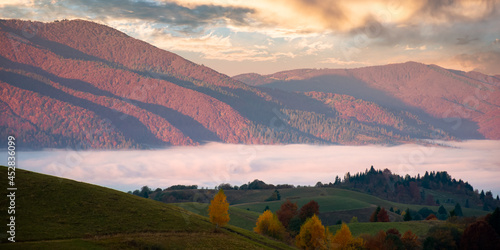 mountain landscape in autumn at sunrise. view from the top of a hill in to the distant valley full of fog. beautiful nature scenery with forested ridge in morning light