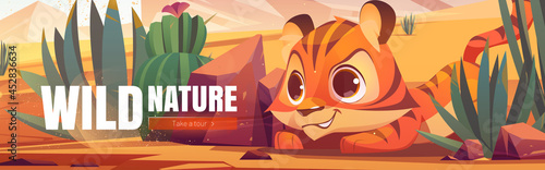 Wild nature cartoon web banner. Funny tiger cub hunting in African desert natural landscape. Baby predator life in deserted Africa with cacti and rocks, outdoor zoo park, save animals, vector concept