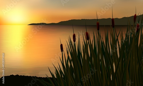 Reeds and rush on the background of a golden sunset on the water with distant rock. © ederella