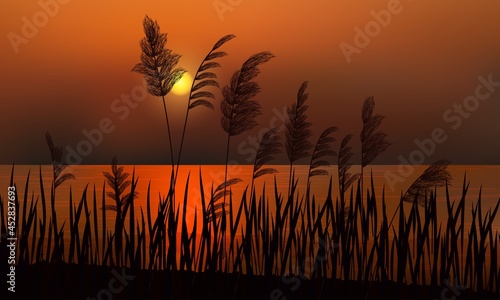 Reeds on the background of a golden sunset on the water.