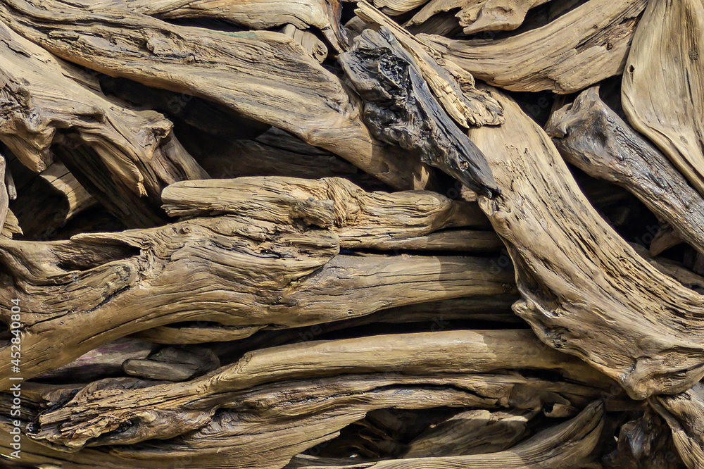 Tree roots stacked in a pile close up Tree roots stacked in a pile close up