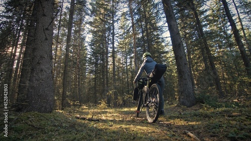 The woman travel on mixed terrain cycle touring with bike bikepacking outdoor. The traveler journey with bicycle bags. Stylish bikepacking, bike, sportswear in green black colors. Magic forest park.