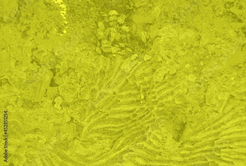 Stone Cracks Background