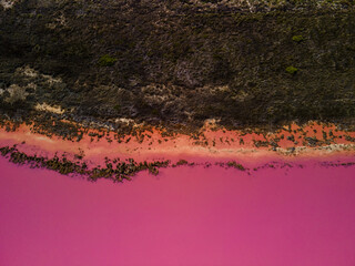 Leinwandbilder Rosa Hutt Lagoon Pink Lake, Western Australia.  © Michael