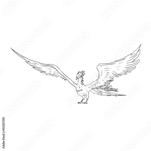 Pheonix Fantasy Creature Line Art 