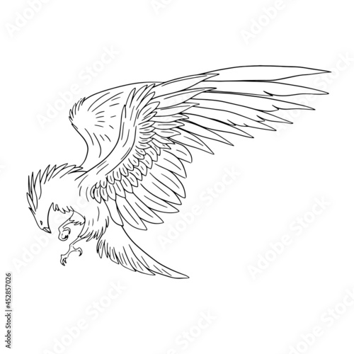 Pheonix Fantasy Creature Line Art 
