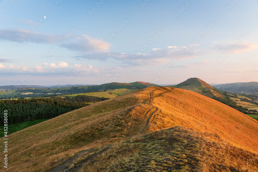 Golden hour on the Lawley ridge with the iconic hill of Caer Caradoc ahead, July Shropshire Hills West Midlands