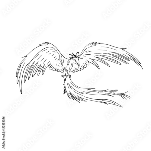 Pheonix Fantasy Creature Line Art  