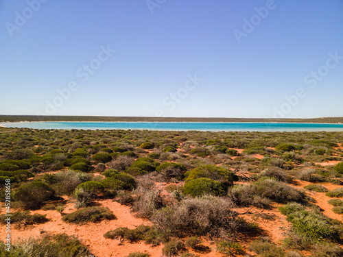 Little Lagoon  Shark Bay Western Australia