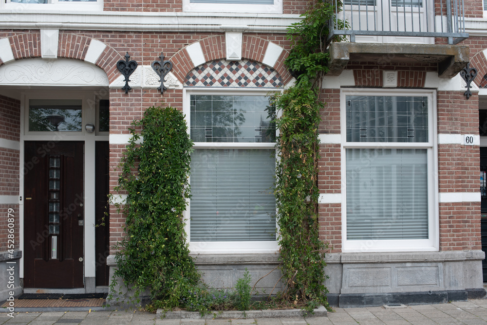 brick wall building with ivy in Amsterdam brick wall building with ivy in Amsterdam